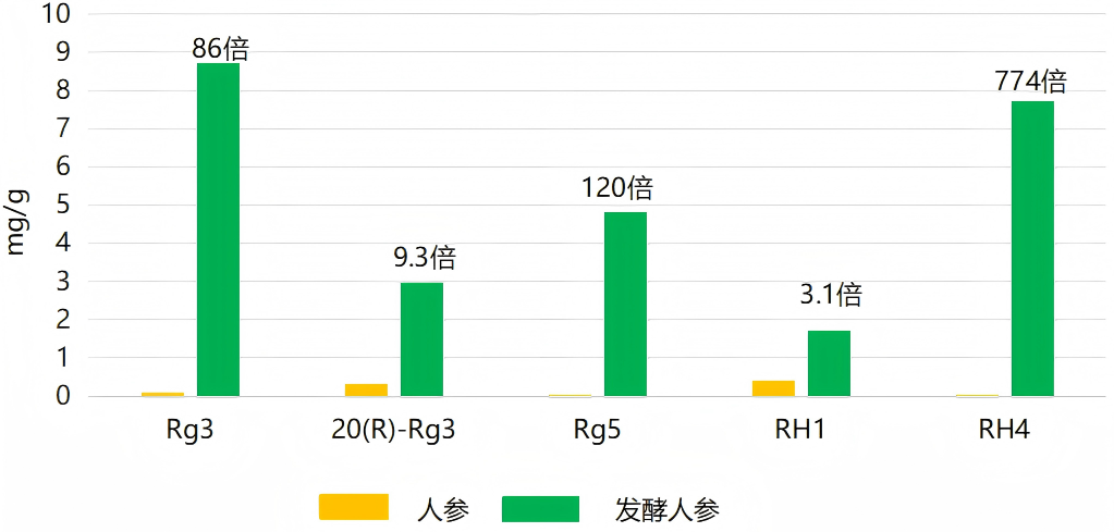发酵人参对比 发酵人参对比