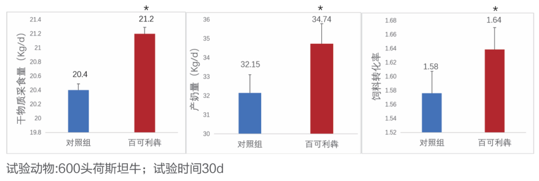 奶牛领域,百可利犇对奶牛生产性能的影响 奶牛领域,百可利犇对奶牛生产性能的影响