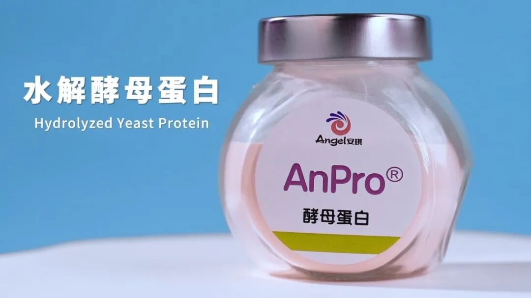 安琪AnPro®酵母蛋白