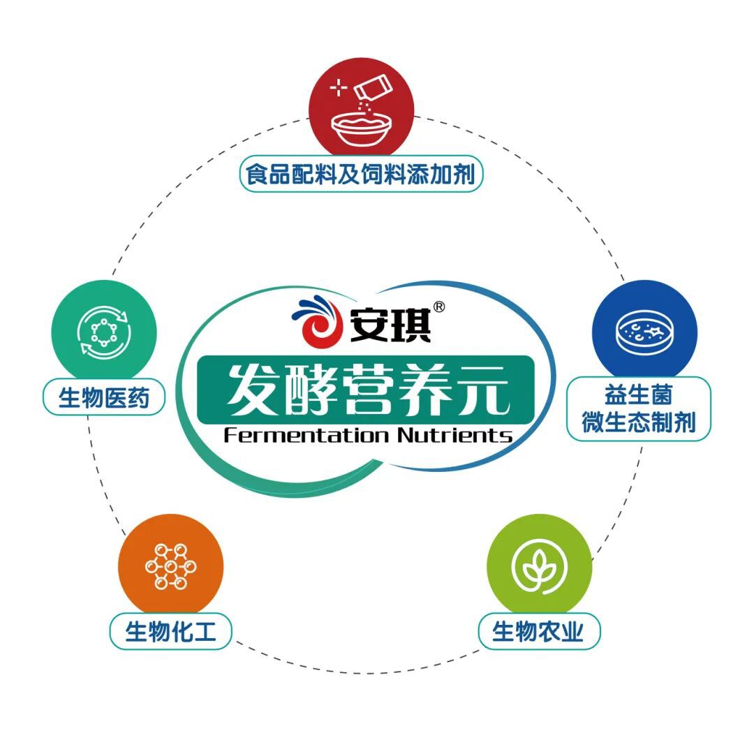 安琪发酵营养元