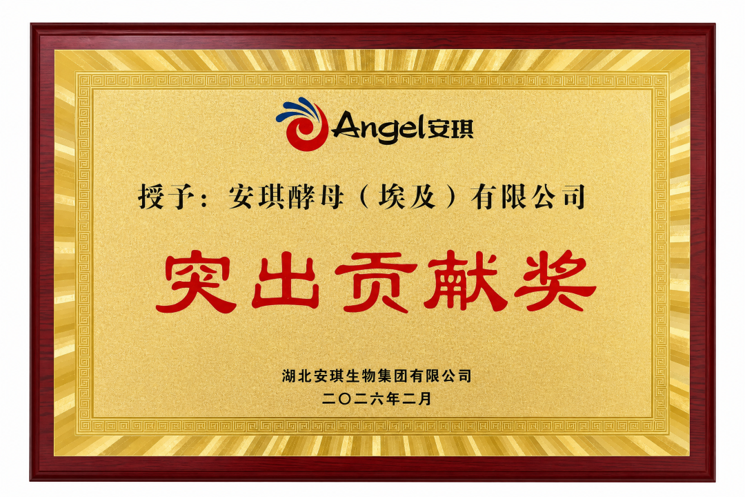 安琪埃及埃中资企业的杰出代表