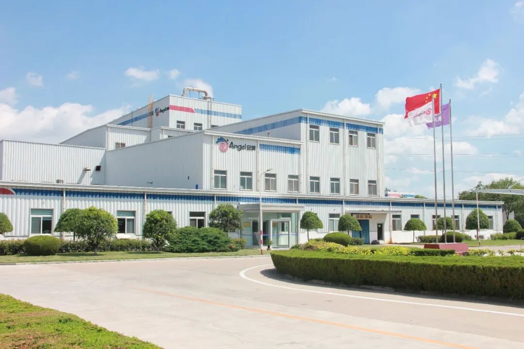 安琪滨州公司 安琪滨州公司