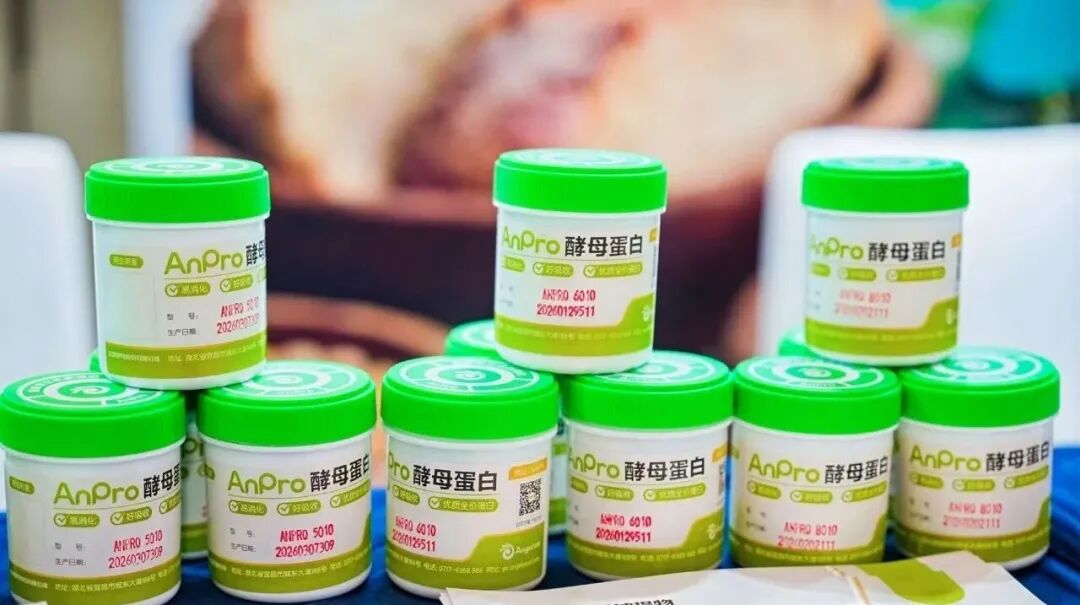微生物蛋白 微生物蛋白