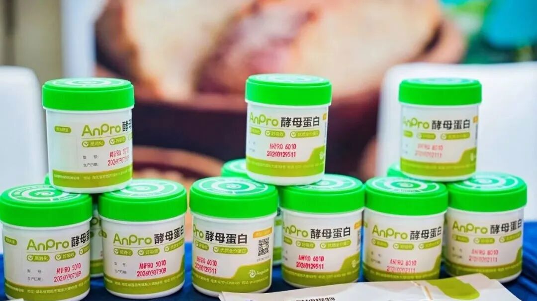 AnPro酵母蛋白