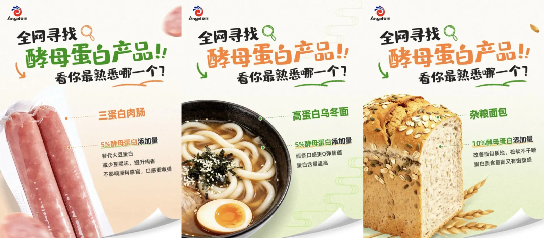 酵母蛋白在蛋白日常化 酵母蛋白在蛋白日常化