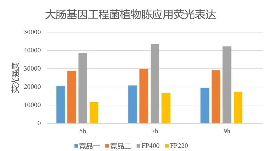 大肠基因工程菌植物胨生长应用测试2