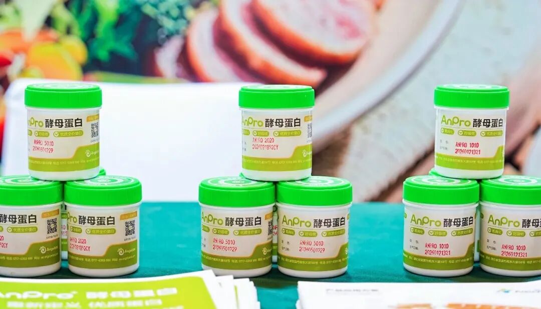 安琪酵母蛋白 安琪酵母蛋白