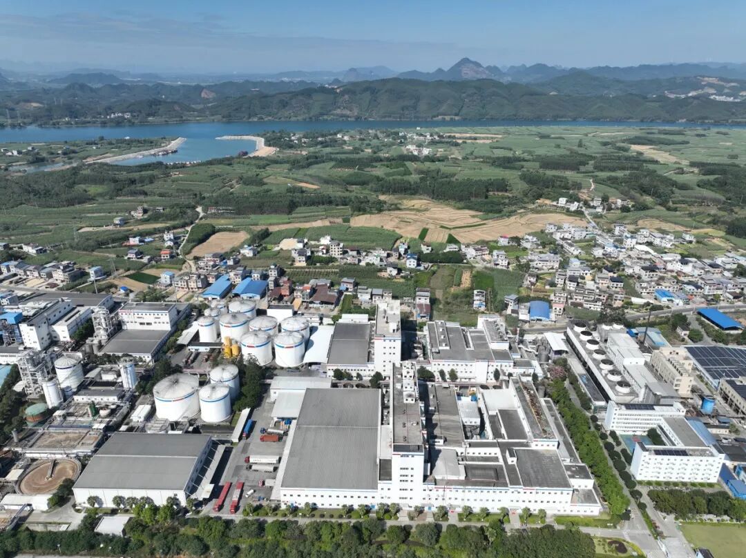 安琪柳州公司规模 安琪柳州公司规模