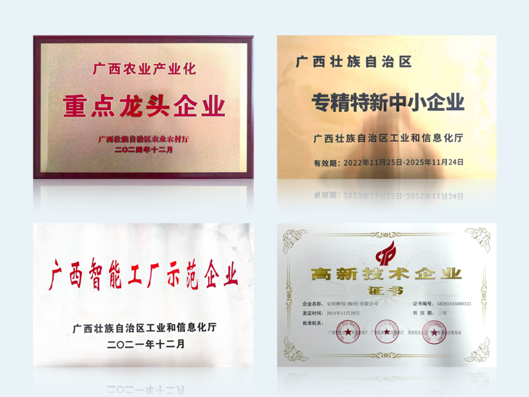 匠心筑业荣光载誉立标杆 匠心筑业荣光载誉立标杆