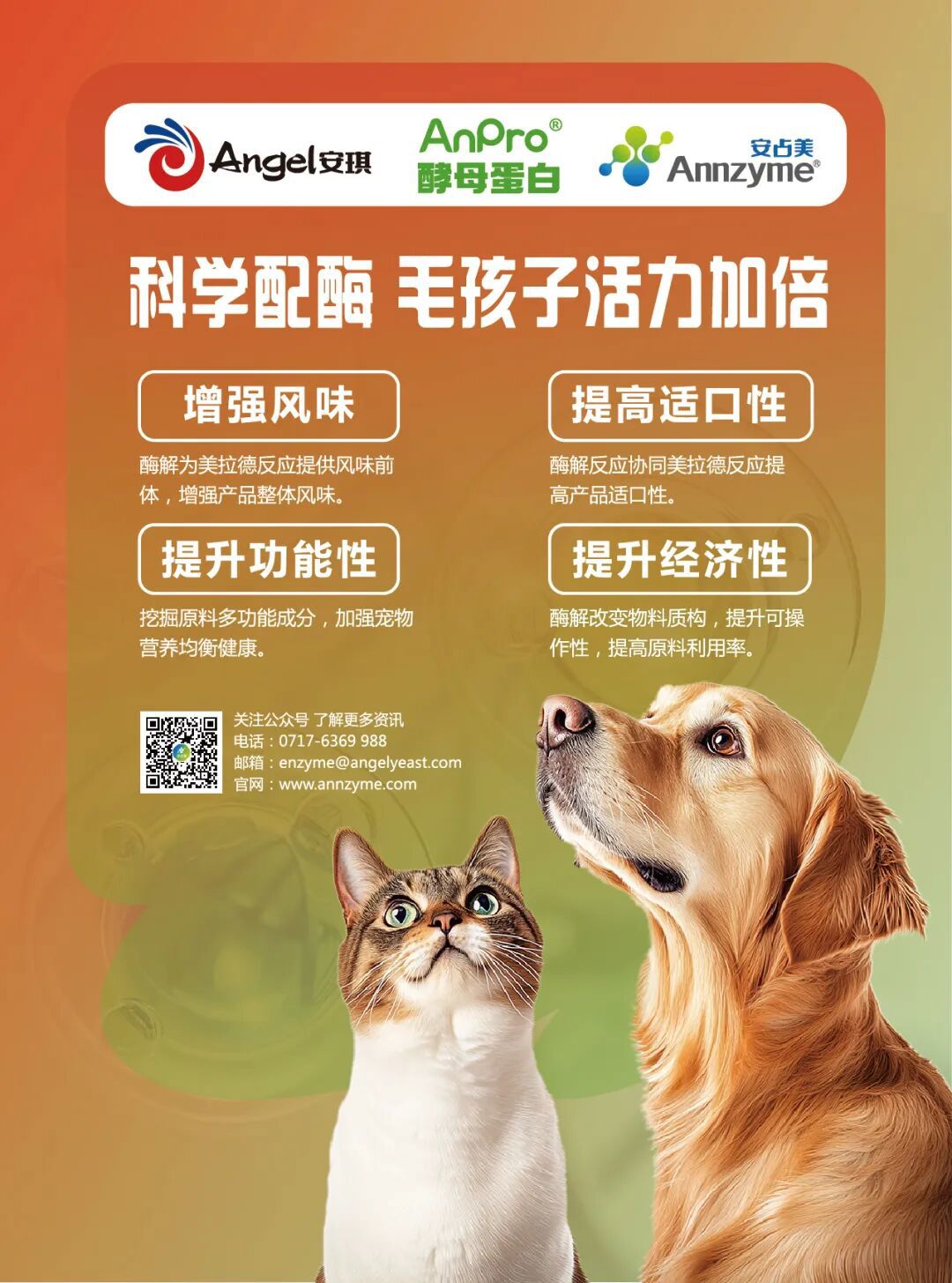 科学配酶,毛孩子活力加倍 科学配酶,毛孩子活力加倍