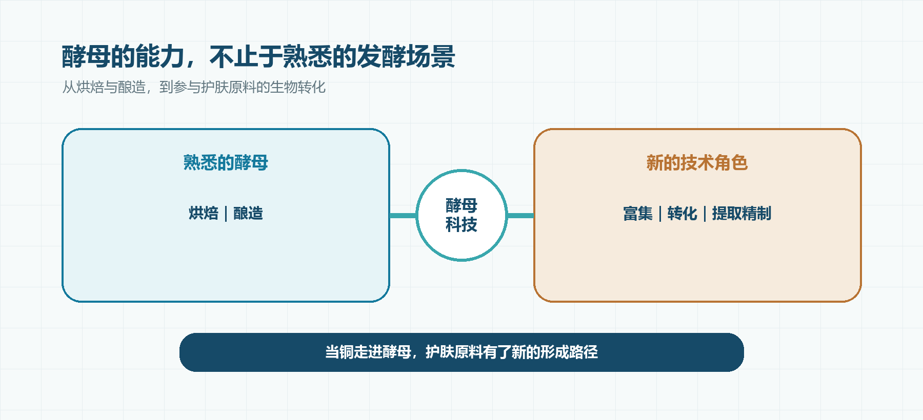 发酵铜的富集与转化 发酵铜的富集与转化
