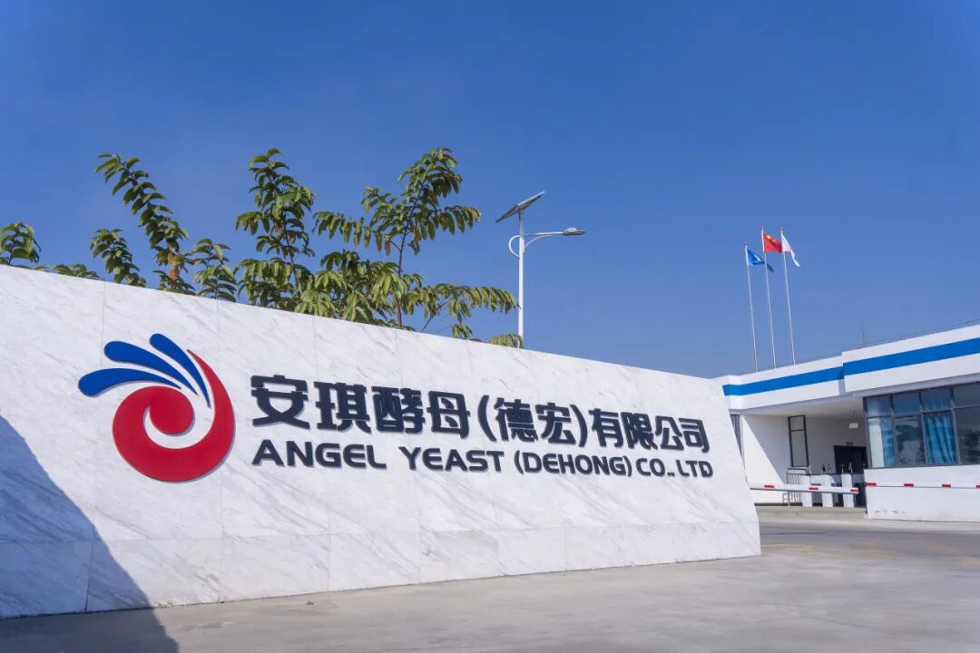 安琪酵母(德宏)有限公司 安琪酵母(德宏)有限公司