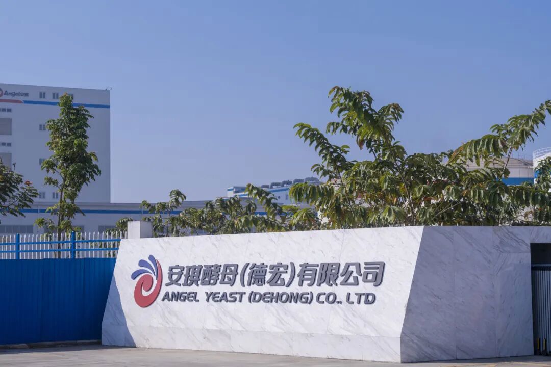 安琪德宏工厂的故事 安琪德宏工厂的故事