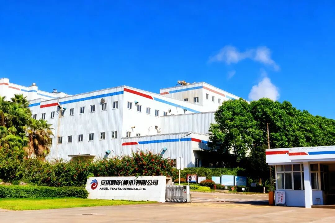 安琪柳州公司 安琪柳州公司