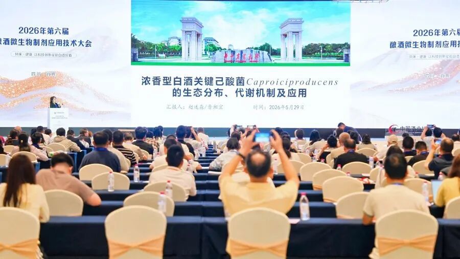 赵述淼教授团队:破解窖池菌群奥秘,赋能浓香白酒产业升级 赵述淼教授团队:破解窖池菌群奥秘,赋能浓香白酒产业升级