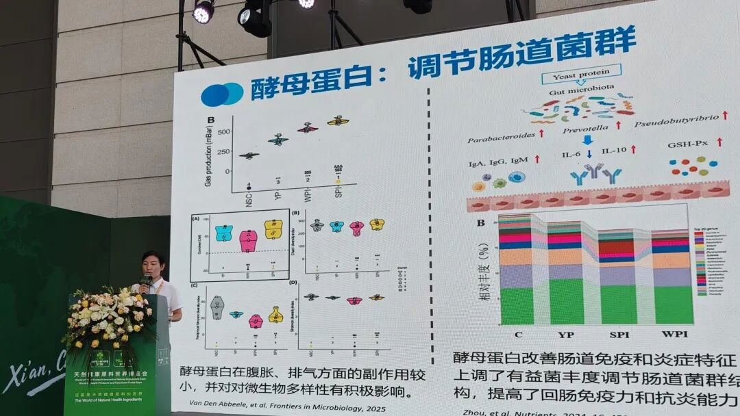 AnPro酵母蛋白从营养补剂到大众食品的跨越 AnPro酵母蛋白从营养补剂到大众食品的跨越