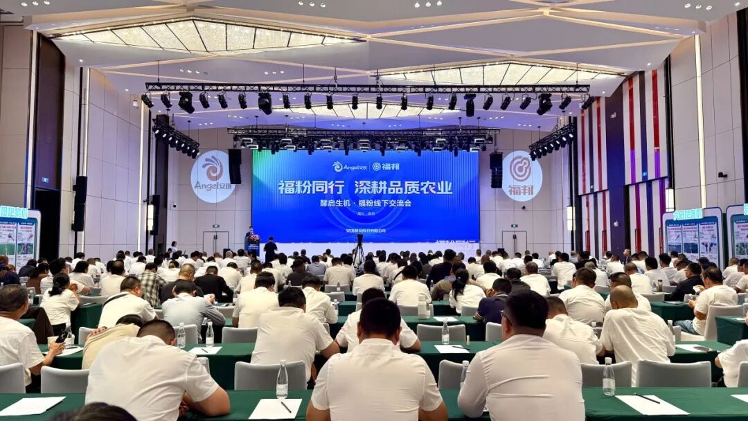 第五届福粉大会 第五届福粉大会