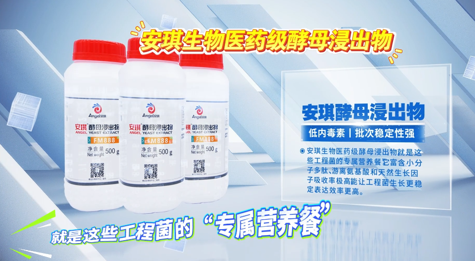安琪生物医药级酵母浸出物 安琪生物医药级酵母浸出物