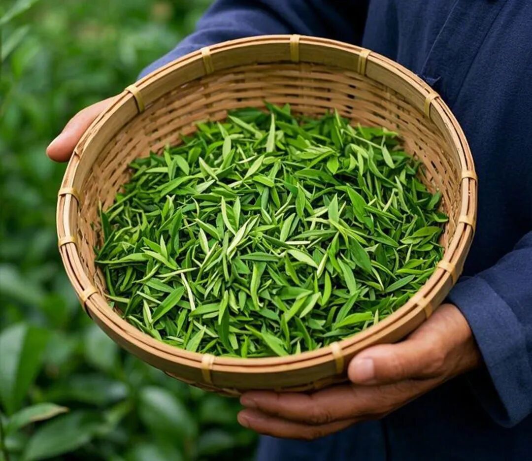 福邦酵母营养肥销量变化明显 福邦酵母营养肥销量变化明显