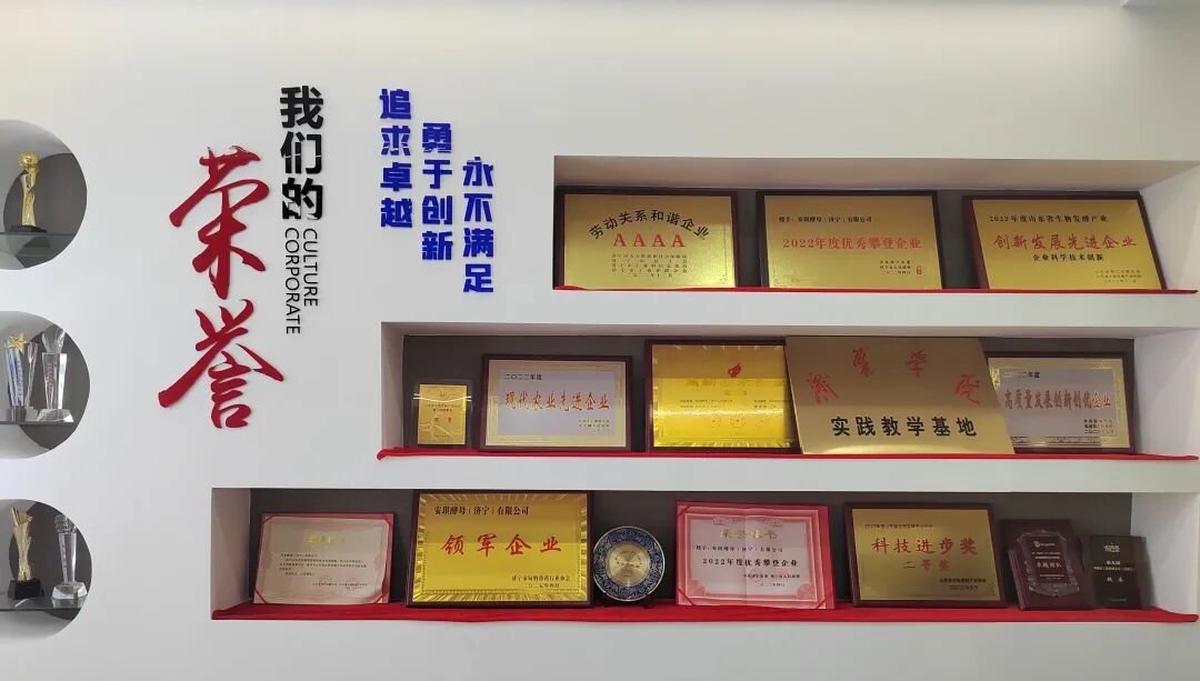 济宁公司发酵产能实现连年跃升 济宁公司发酵产能实现连年跃升