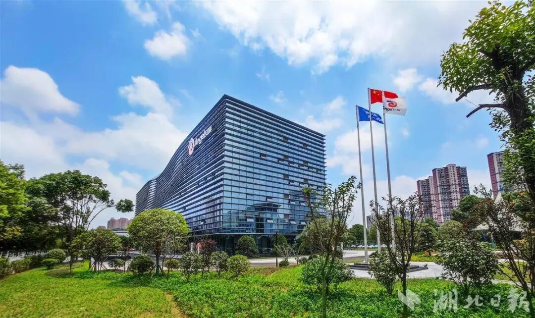 安琪研发综合体大楼 安琪研发综合体大楼