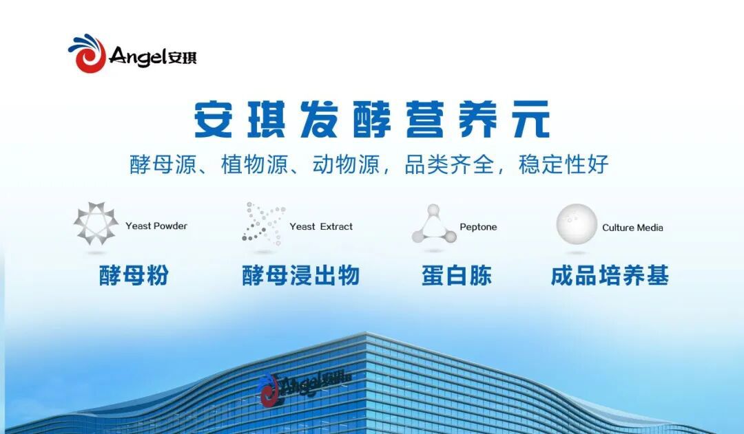 同期论坛:安琪承办,两场主题报告 同期论坛:安琪承办,两场主题报告