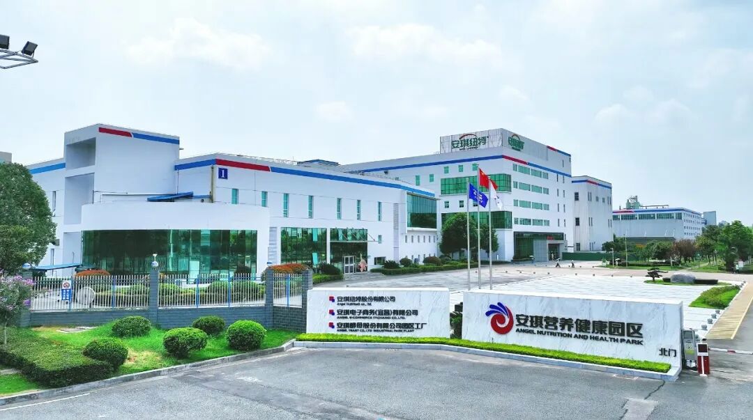 走进安琪园区工厂 走进安琪园区工厂